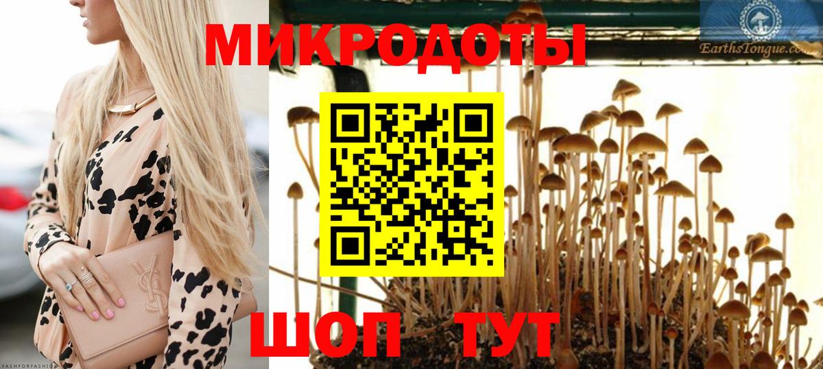 Псилоцибиновые грибы GOLDEN TEACHER Орехово-Зуево