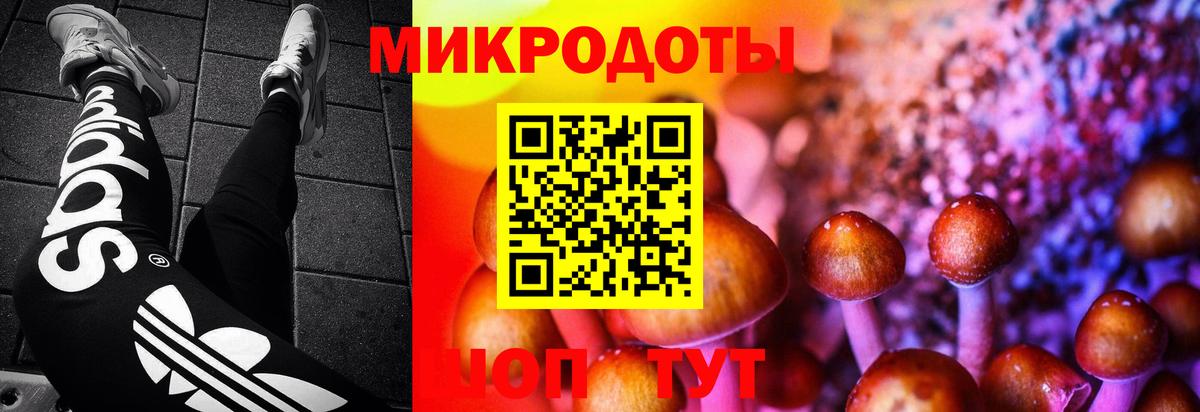 Орехово-Зуево  Галлюциногенные грибы Magic Shrooms  Псилоцибиновые грибы Magic Shrooms  Вход с VPN 
